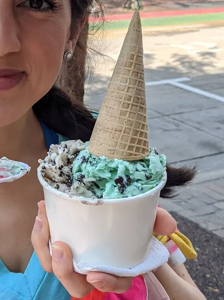 Mint Chocolate Chip Ice Cream Estela