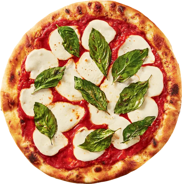 Margherita Pizza BK9