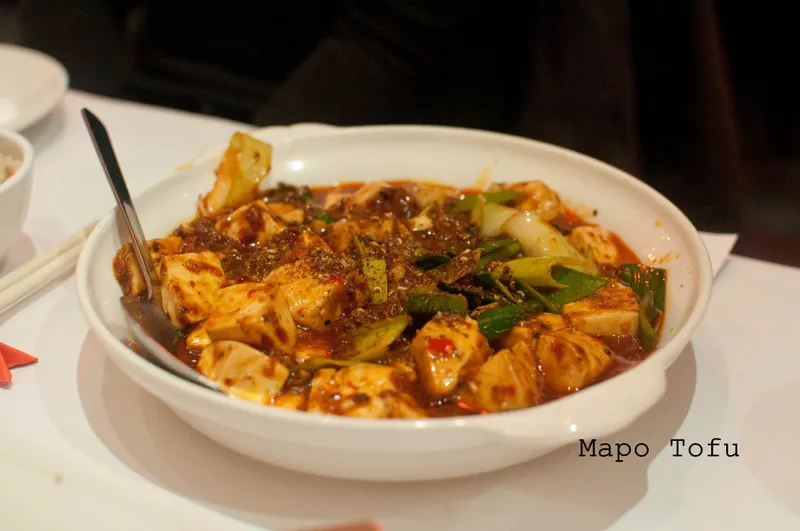 Mapo Tofu Szechuan Gourmet