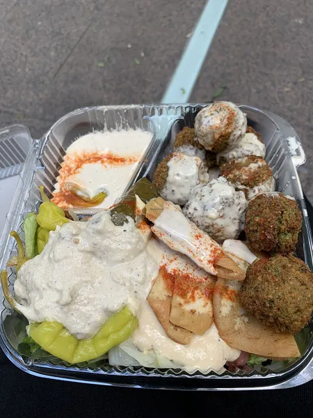 Hummus with Pita Sam's Falafel Stand