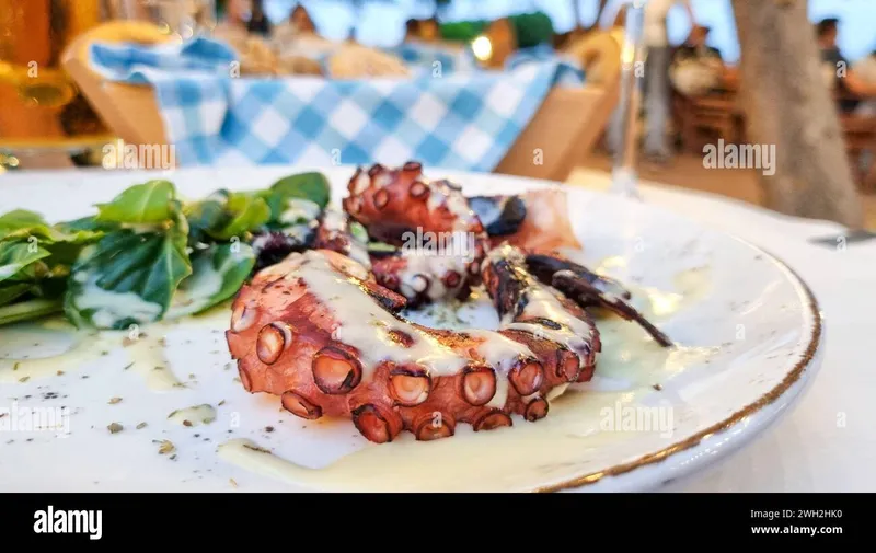 Grilled Octopus Village Taverna