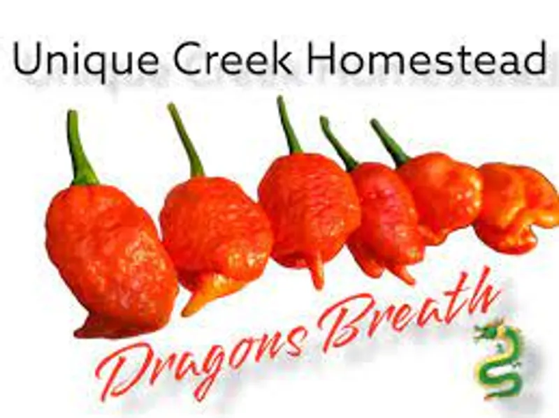 Dragon's Breath Chili The Owl House