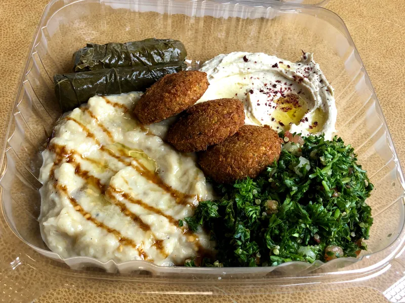 Hummus Plate Master Falafel