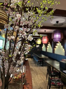 Papaya Restaurant | Vietnamesische Küche & Sushi Bar