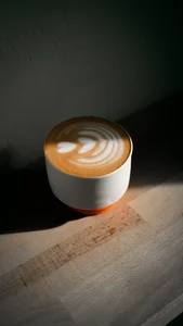 stray coffee roasters