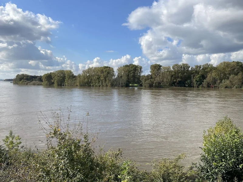menu 2 of Restaurant RheinBlick Köln-Porz