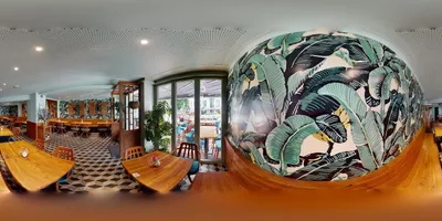 An Vegan House