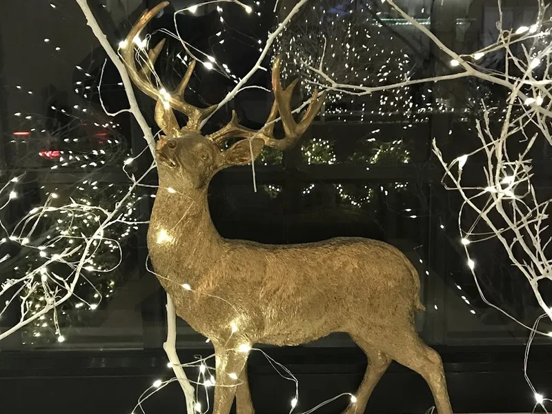 menu 2 of Restaurant Lengeling & Bialy