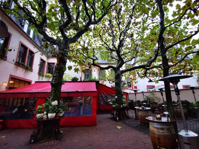 Kanonesteppel