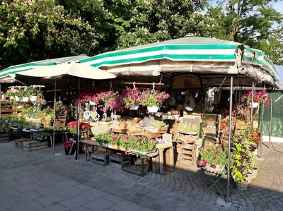 Biergarten Viktualienmarkt