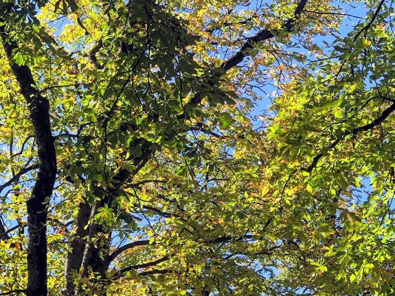 menu 2 of Prinzregent-Garten