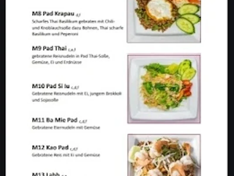 menu 0 of Noppakao Thai Restaurant