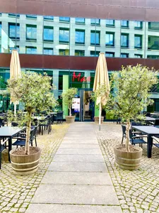 Max Altstadt