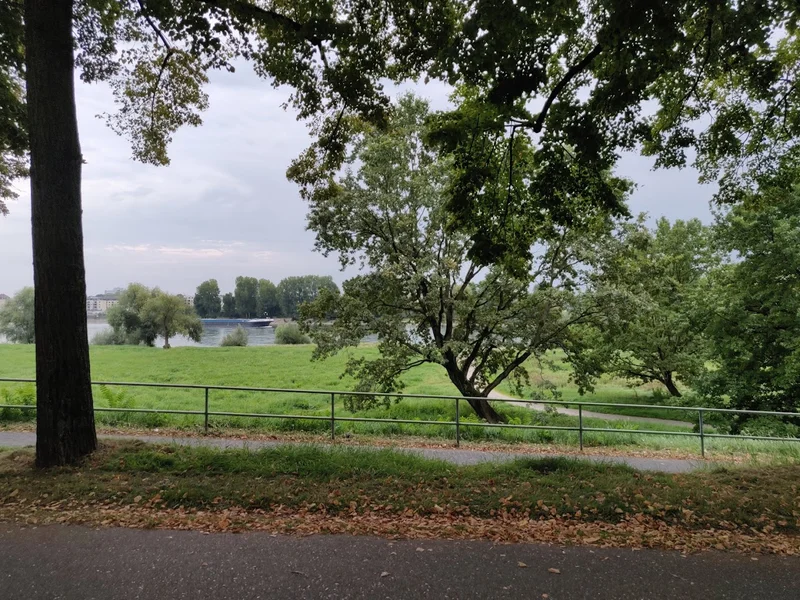 menu 2 of Schwimmbad Rhein-Sommergarten GbR