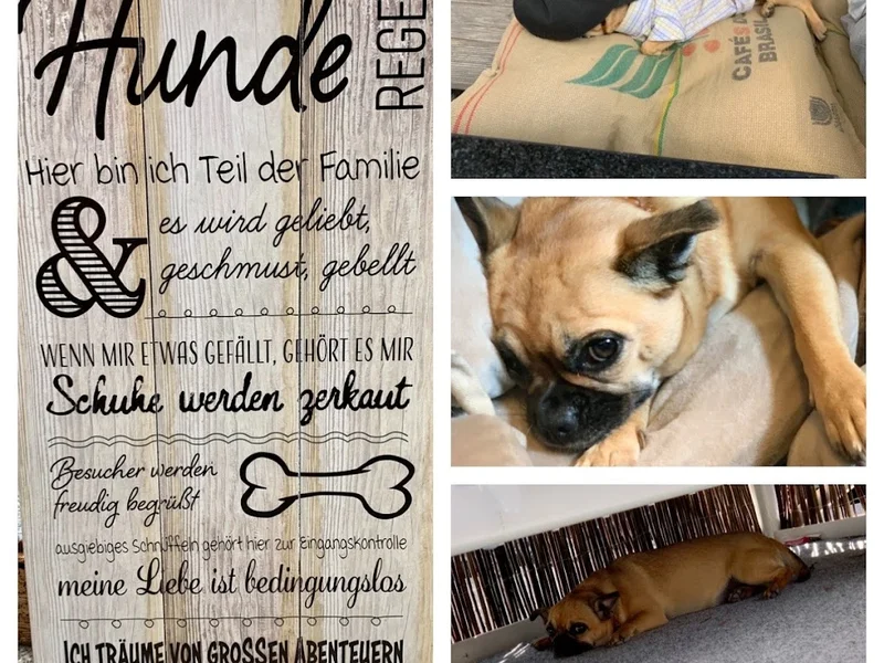 menu 2 of Zimtzicke Café & Wohnzimmer