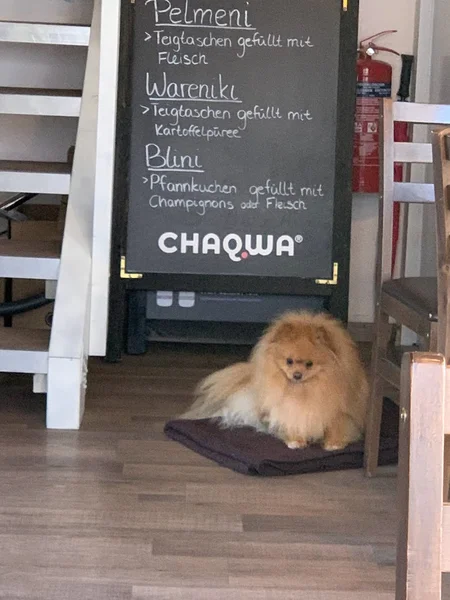 menu 1 of Café Vílena