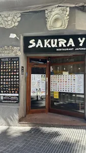 Sakura Y