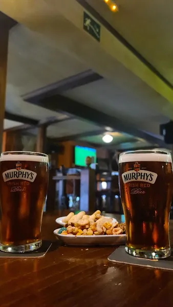 menu 2 of The Thirty Three IRISH PUB
