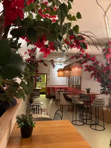 Pipa & Co Salamanca