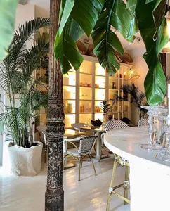 Ficus Bar