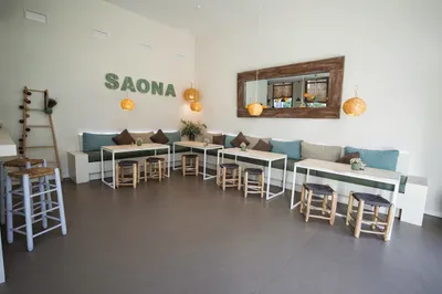 Saona Cortes Valencianas