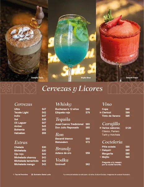 menu 0 of Mi Viejo Molino Santa Lucía