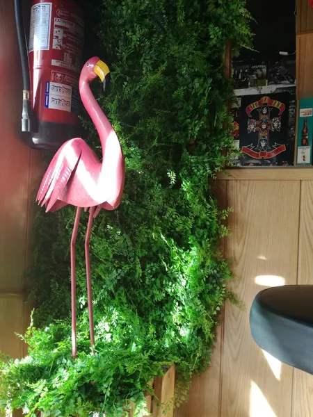 menu 2 of Flamingo Rock