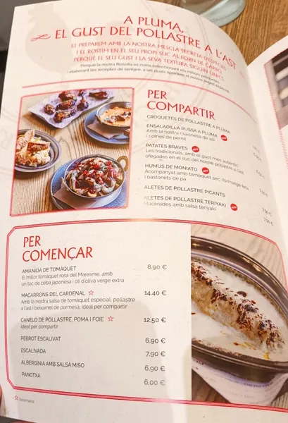 menu 1 of Apluma ‘The Chicken Gourmet Place’
