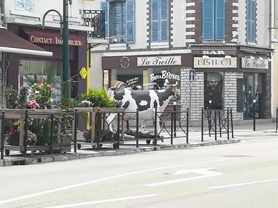 Brasserie Des Voyageurs