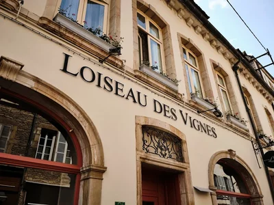 Loiseau des Vignes
