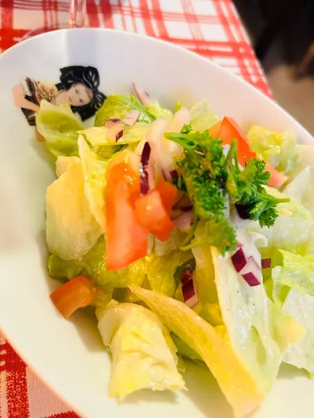 menu 1 of Le Rhinkaechele Gambsheim spécialité Winstub