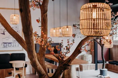 Mogu Japan Cafe