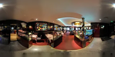馮 Chez Phung (Dynastie)