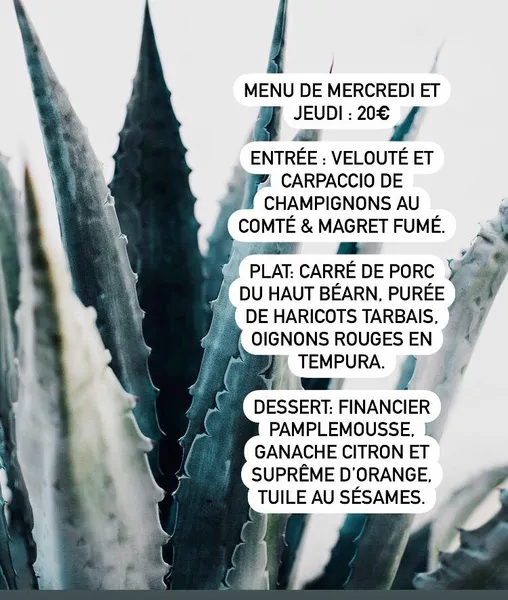 menu 0 of Le Poulet à 3 Pattes