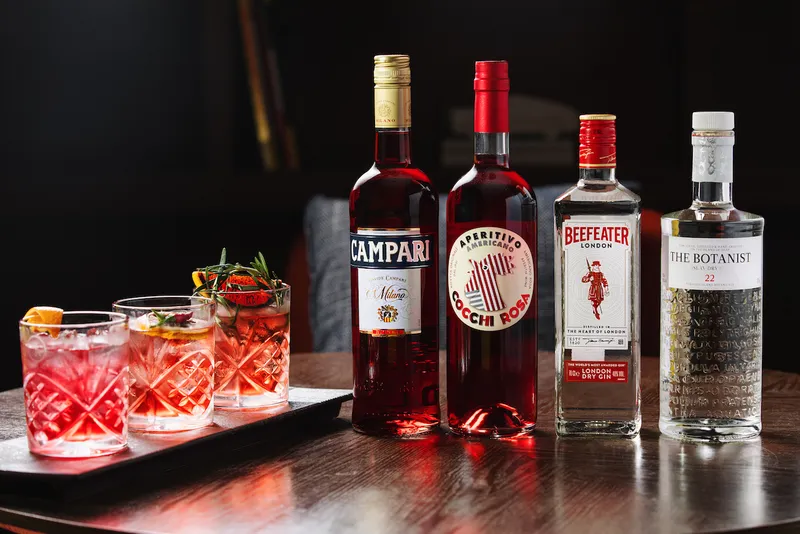 Negroni Analogue