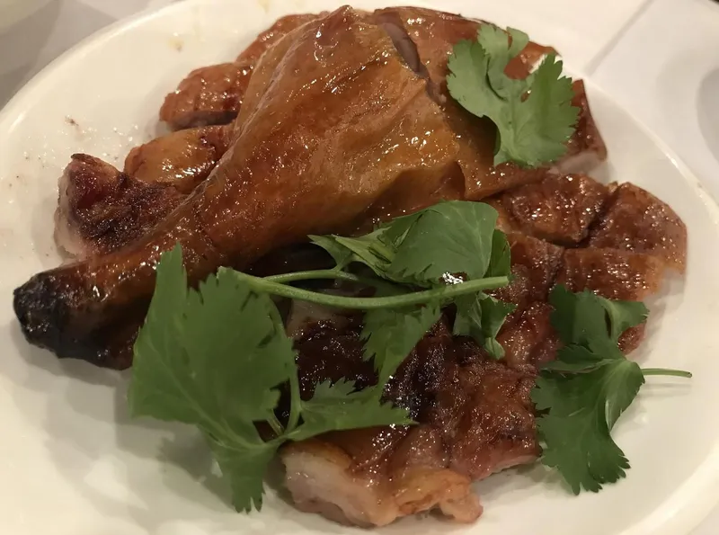 Peking Duck Fortune Chinese Restaurant