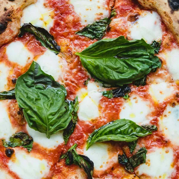 Margherita Pizza Daniele Imports