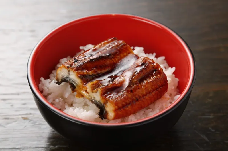 Unagi Donburi Tokyo