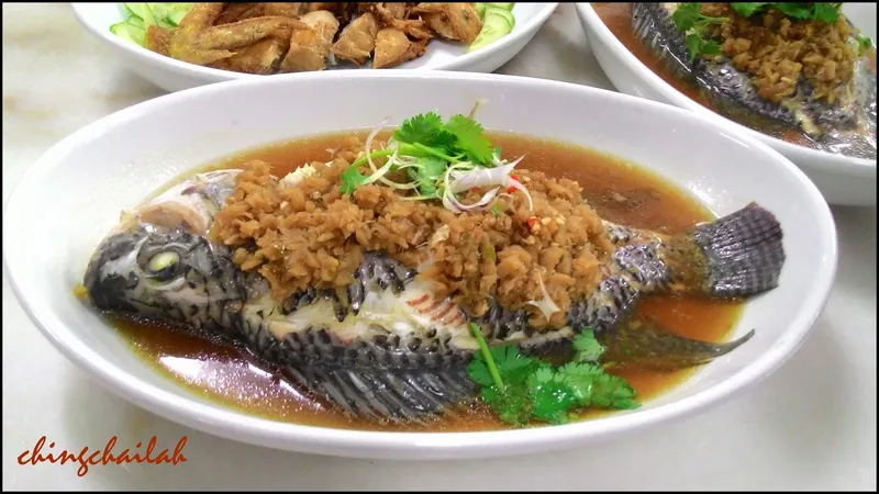 Steamed Fish with Ginger Sauce Ipoh Kitchen Asian Cuisine