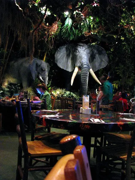 Vibe Rainforest Cafe 1