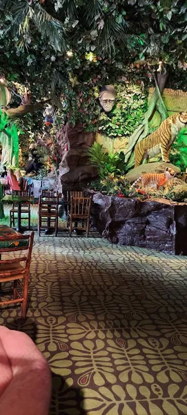 Vibe Rainforest Cafe 2