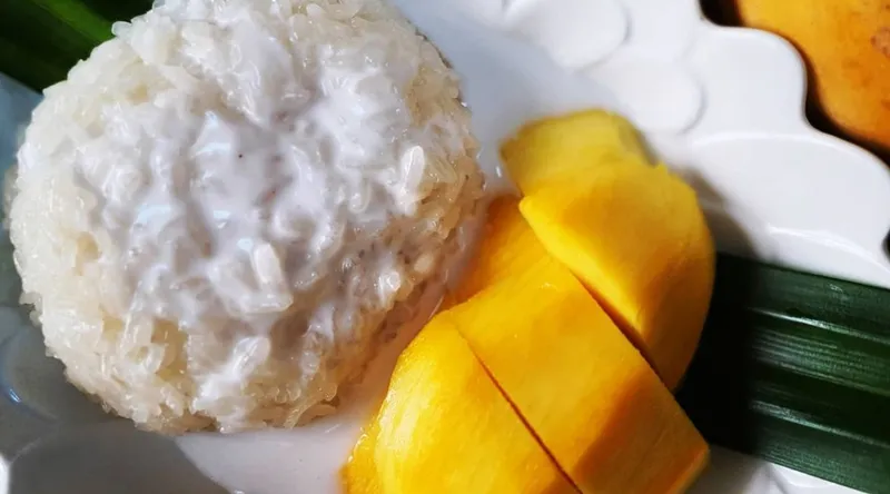 Mango Sticky Rice Living Thai Cuisine