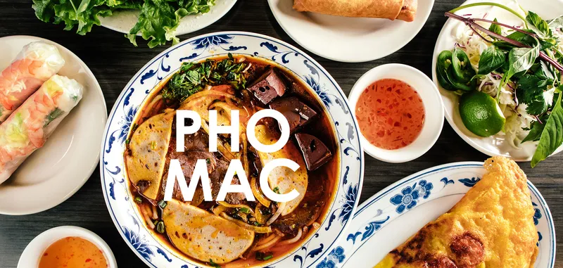 Vietnamese Vegetable Curry Pho Mac