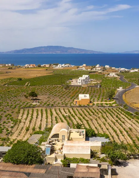 Domaine Sigalas Assyrtiko Milos Wine Bar