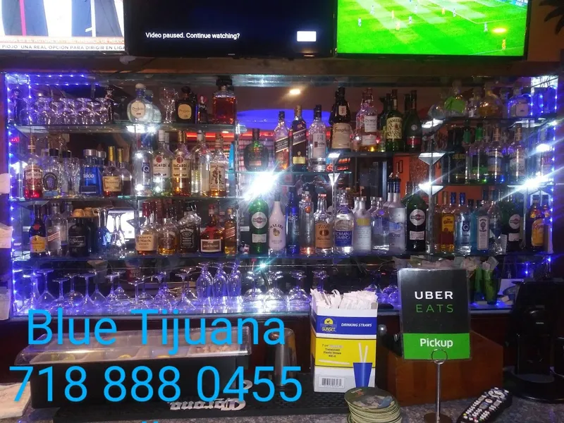 Vibe Blue Tijuana 3