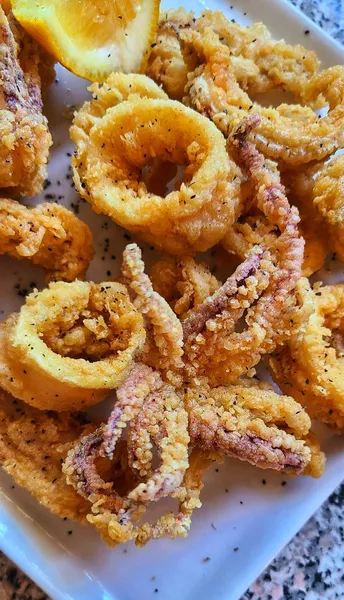 Fried Calamari Circulo Español