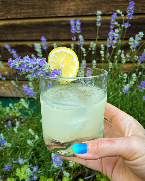 Lavender Collins Side Bar