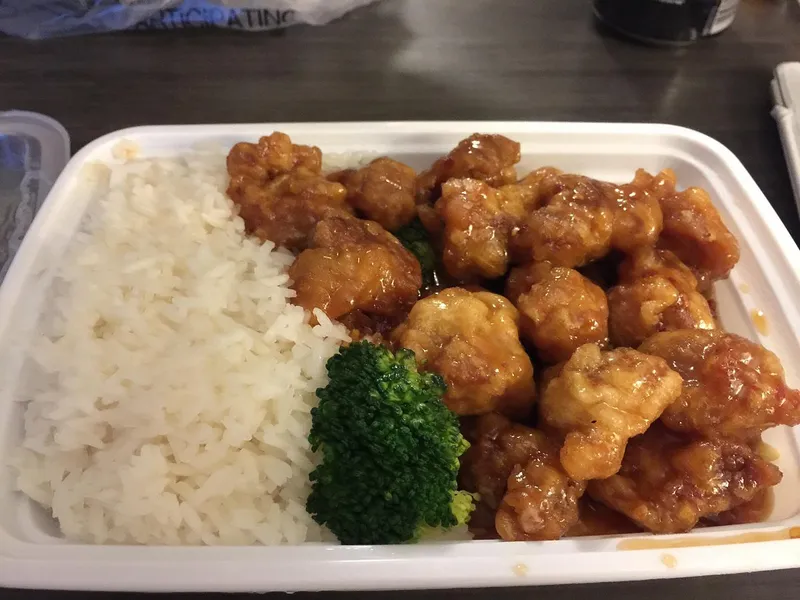 General Tso's Chicken Happy Garden