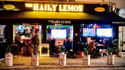 The Hairy Lemon