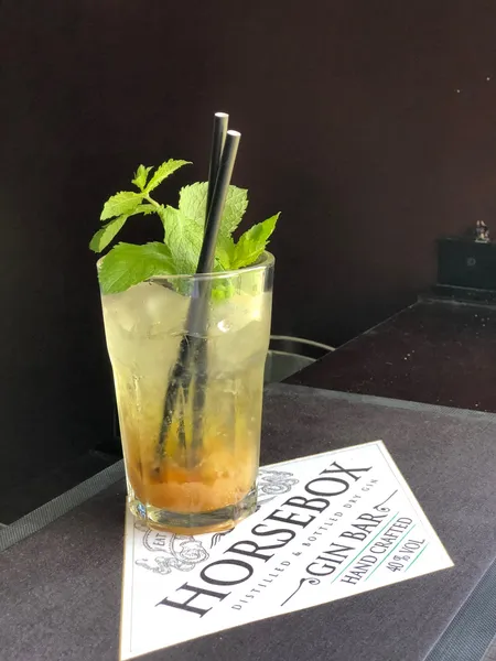 Mint Julep The HorseBox